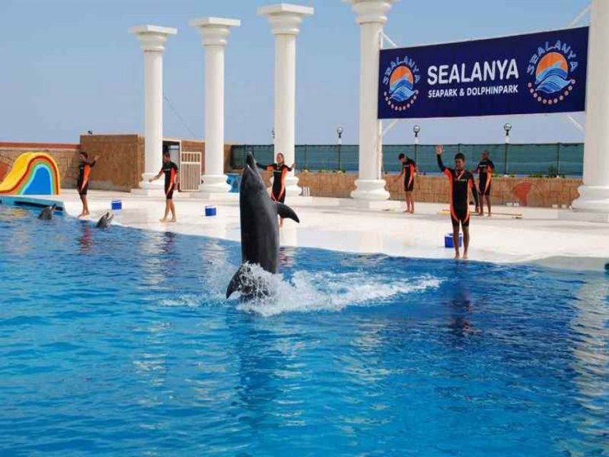 Alanya: Dolphin and Seal Show Ticket with Hotel Transfers - The seals steal the comic role