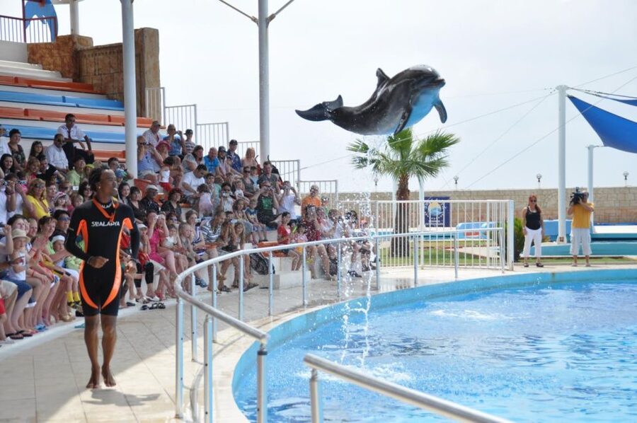 Alanya: Dolphin and Seal Show Ticket with Hotel Transfers - Choosing your seat, including the splash zone