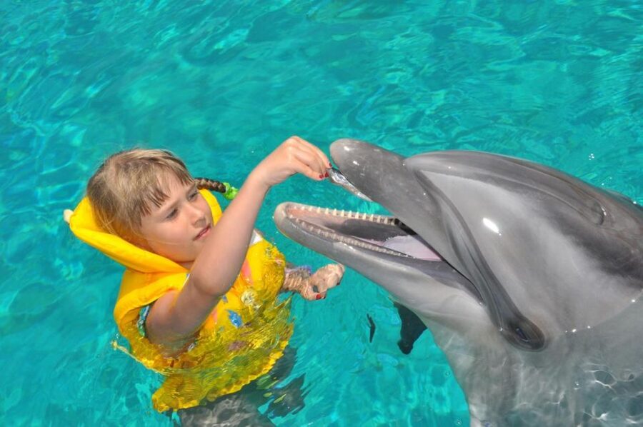 Alanya: Dolphin and Seal Show Ticket with Hotel Transfers - Hotel pickup from Alanya and the ride to the park