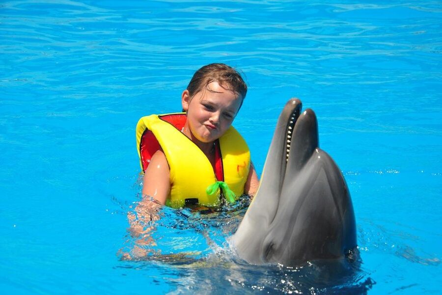 Alanya: Dolphin and Seal Show Ticket with Hotel Transfers - Is $40 good value for one to two hours?