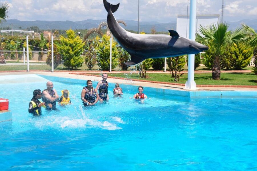 Alanya: Dolphin and Seal Show Ticket with Hotel Transfers - What is included and what is not
