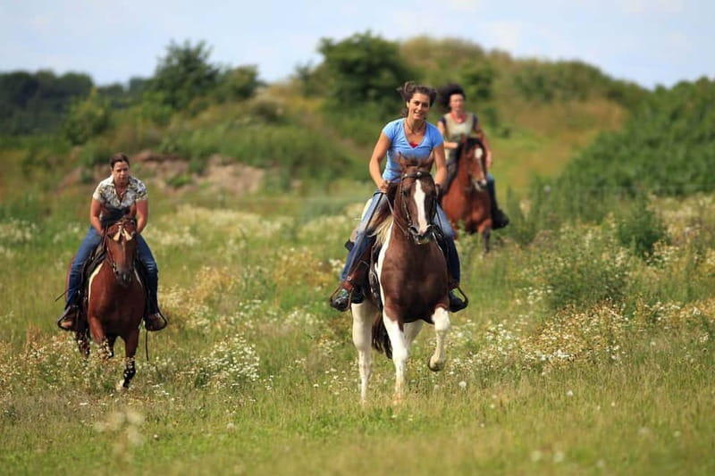 Alanya: Horse Riding Adventure - From Alanya to the Horse Club