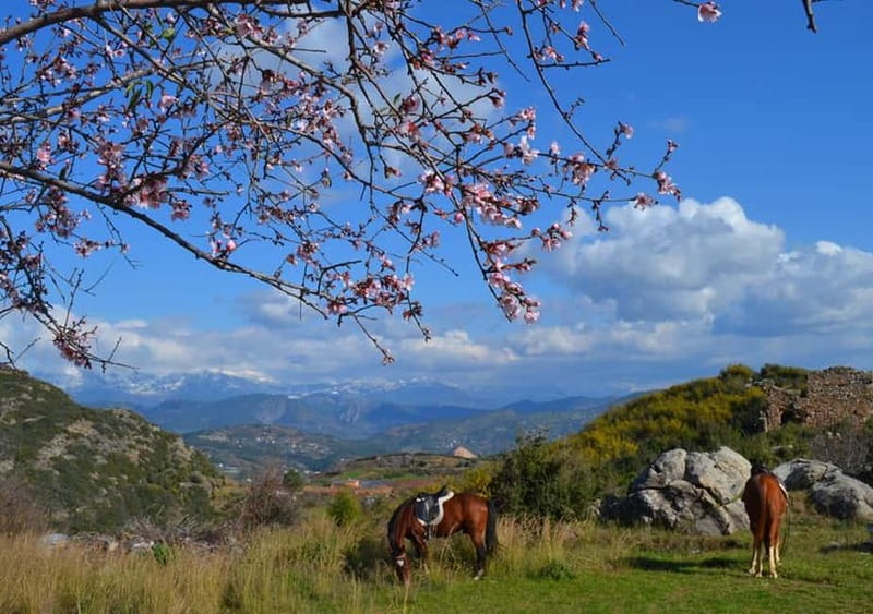 Alanya: Horse Riding Adventure - Riding above Alanya’s coast