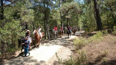 Horse Riding Adventure