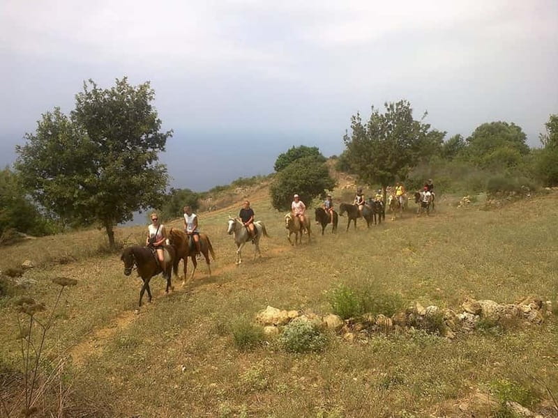Alanya: Horse Riding Adventure - What the $74 price includes