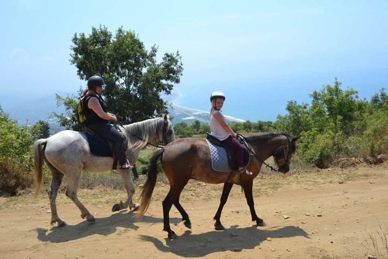 Alanya: Horse Riding Adventure - Who should choose another Alanya activity