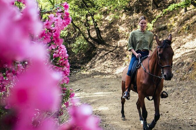 Alanya Horse Riding Experience With Free Hotel Transfer - A low-speed route with mountain and sea views