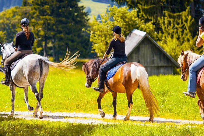 Alanya Horse Riding Experience With Free Hotel Transfer - What the riding time really means
