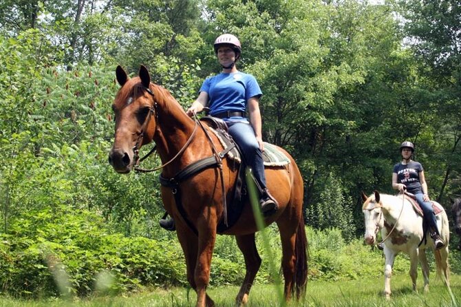 Alanya Horse Riding Experience With Free Hotel Transfer - Safety equipment and the role of the guide