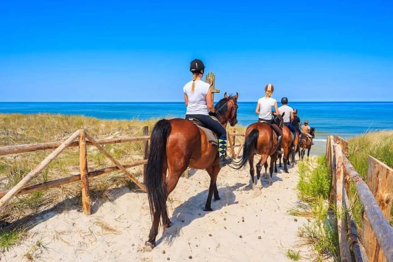 Alanya: Horse Riding Tour with Hotel Transfers - What happens before you mount