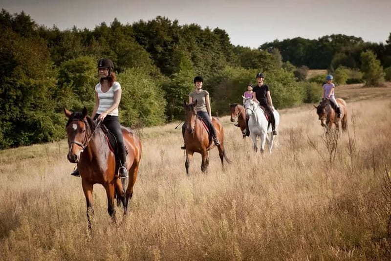 Alanya: Horse Riding Tour with Hotel Transfers - Why Syedra adds value