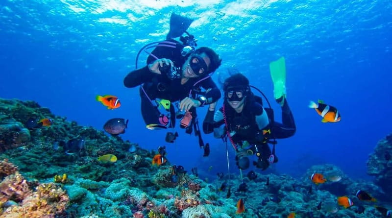 Alanya: Scuba Diving Adventure for Beginners & Professionals - Key points to know before booking