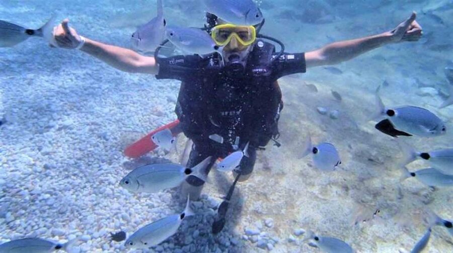 Alanya: Scuba Diving Adventure for Beginners & Professionals - Lunch, sunlight, and waiting time on deck