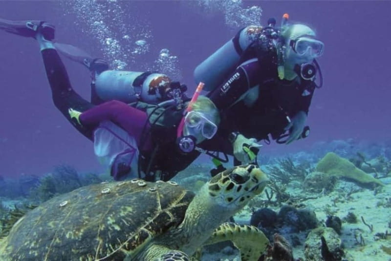 Alanya: Scuba Diving Adventure for Beginners & Professionals - Second underwater session, 5 to 7 meters