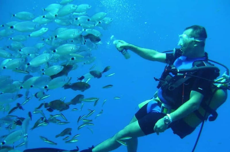 Alanya: Scuba Diving Adventure for Beginners & Professionals - How the $51 price works for you
