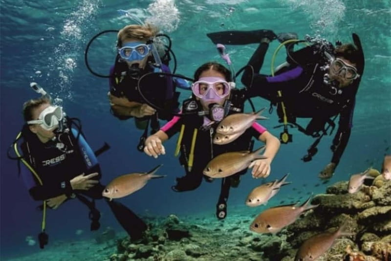 Alanya: Scuba Diving Adventure for Beginners & Professionals - Who will enjoy this day most