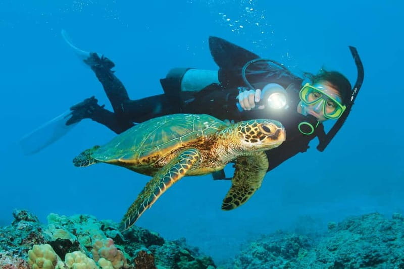 Alanya: Scuba Diving Adventure for Beginners & Professionals - From your hotel door to the boat