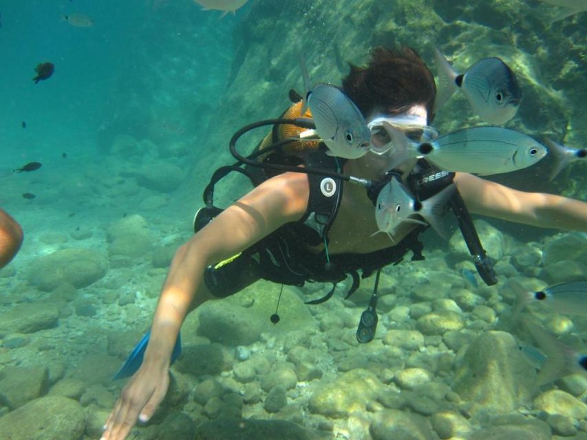 Alanya: Scuba Diving Experience with Lunch - From your Alanya hotel to the marina by 9:30 am
