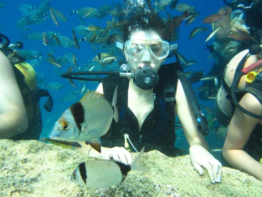 Alanya: Scuba Diving Experience with Lunch - Safety and service: the questions I would ask