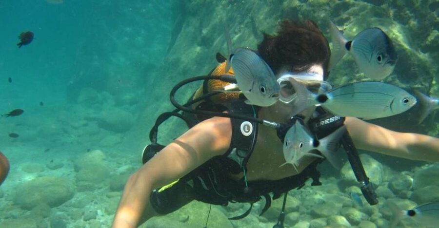 Alanya: Scuba Diving Experience with Lunch - The marina briefing and first underwater session