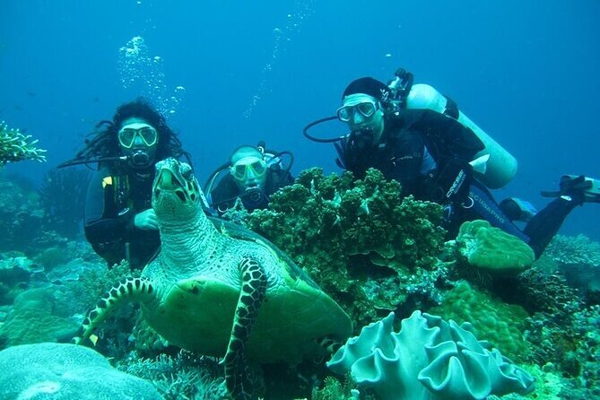 Alanya : Scuba Diving for Beginners w/ Lunch and Transfer - The second session and time on the boat