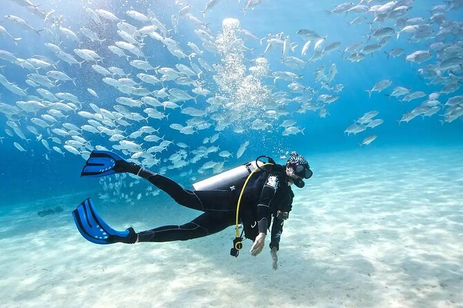 Alanya : Scuba Diving for Beginners w/ Lunch and Transfer - The first Alanya underwater session