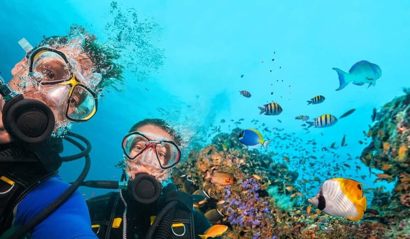 Alanya: Scuba Diving Tour With Lunch - Key points to know before booking