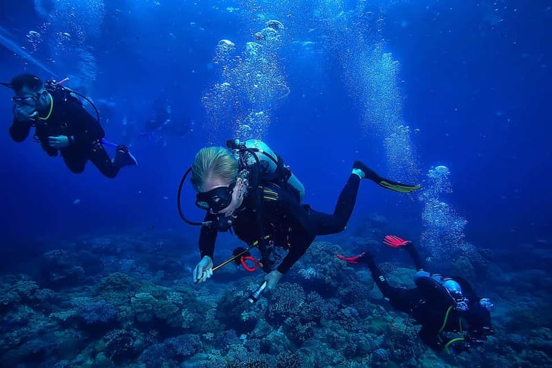 Alanya: Scuba Diving Tour with Lunch and Hotel Transfers - Sea caves beneath Alanya Castle