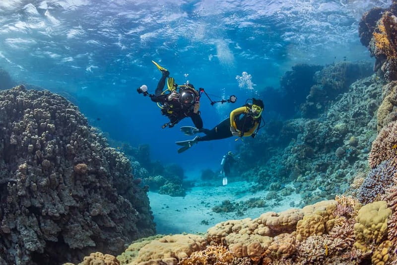 Alanya: Scuba Diving Tour with Lunch and Hotel Transfers - What your day on the boat looks like