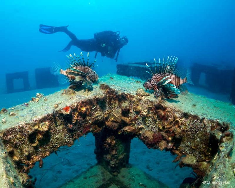 Alanya: Scuba Diving Tour with Lunch and Hotel Transfers - Lunch, swimming, and the long middle break