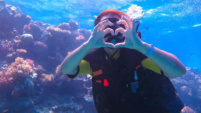 Alanya: Scuba Diving Tour with Lunch and Hotel Transfers - The value of $67