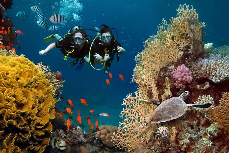 Alanya: Scuba Diving Tour with Lunch and Hotel Transfers - A sensible first scuba experience