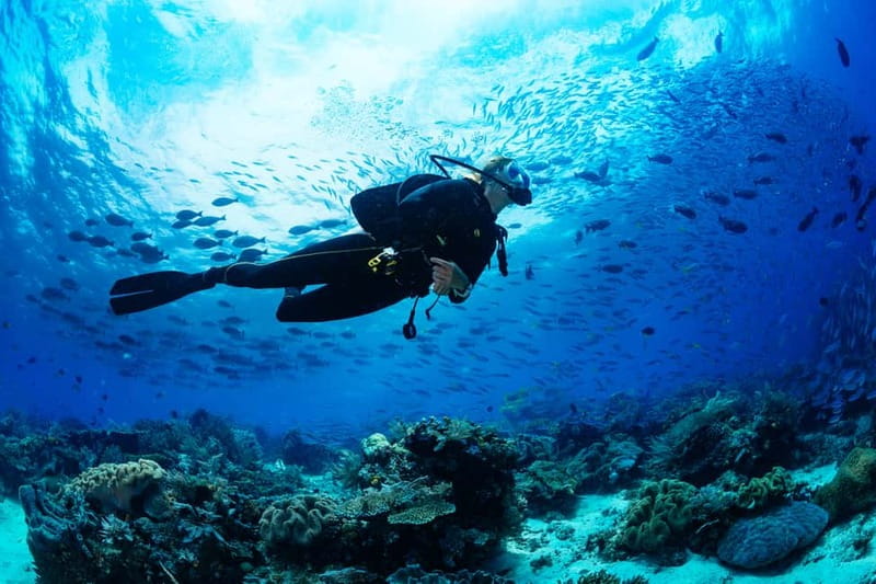 Alanya: Scuba Diving Tour With Lunch - How the first underwater session works