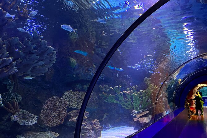 Antalya Aquarium and Face to Face Wax Museum Private Transfer - Is $72.25 per person a fair price?