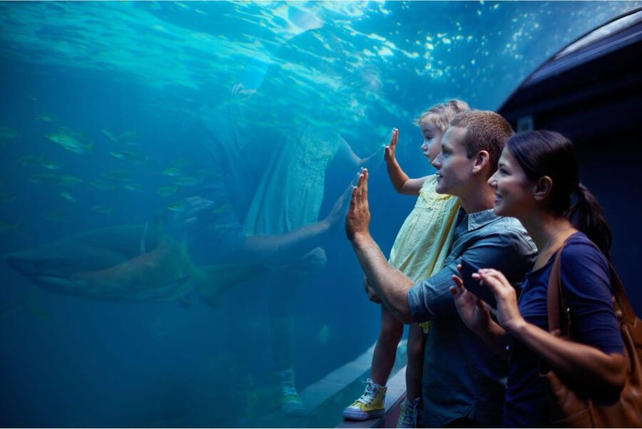 Antalya: Aquarium and Wax Museum Entry Ticket - The giant tunnel is the main event
