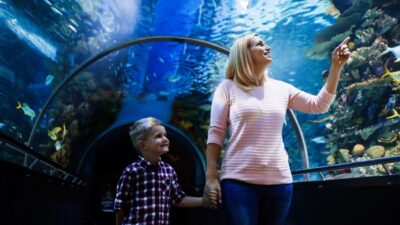 Aquarium and Wax Museum Entry Ticket