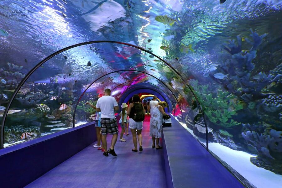 Antalya: Aquarium and Wax Museum Entry Ticket - Should you book the Antalya Aquarium and Wax Museum ticket?