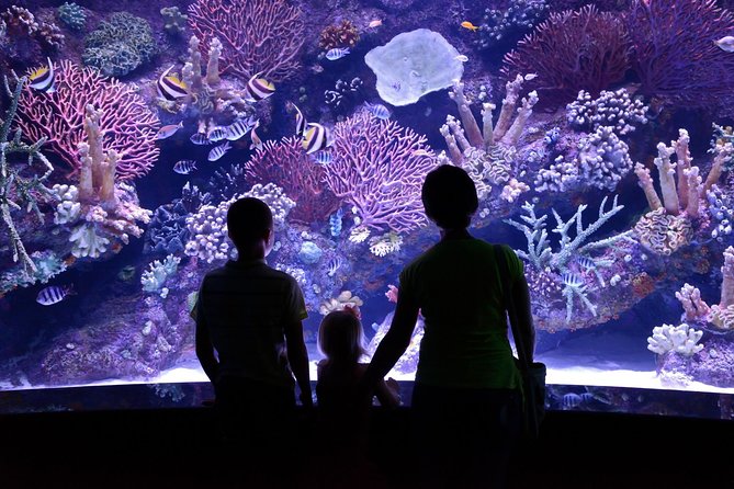Antalya: Aquarium Ticket With Optional Transfer - Wild Park and the reptile displays