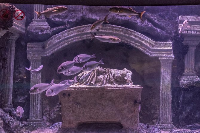 Antalya: Aquarium Ticket With Optional Transfer - Choosing the transfer option