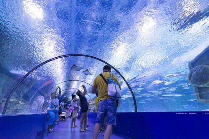 Antalya: Aquarium Ticket With Optional Transfer - Who will enjoy this most