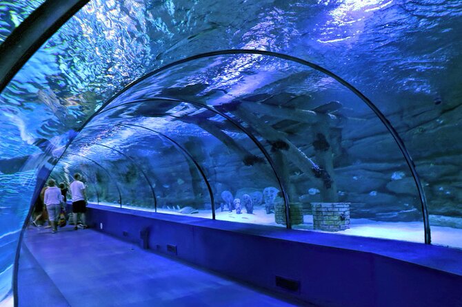 Antalya: Aquarium, Wax Museum & Combo Package Options - Antalya Aquarium near Konyaaltı Beach