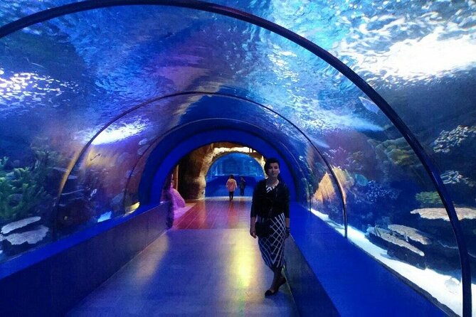 Antalya: Aquarium, Wax Museum & Combo Package Options - The best way to plan your visit