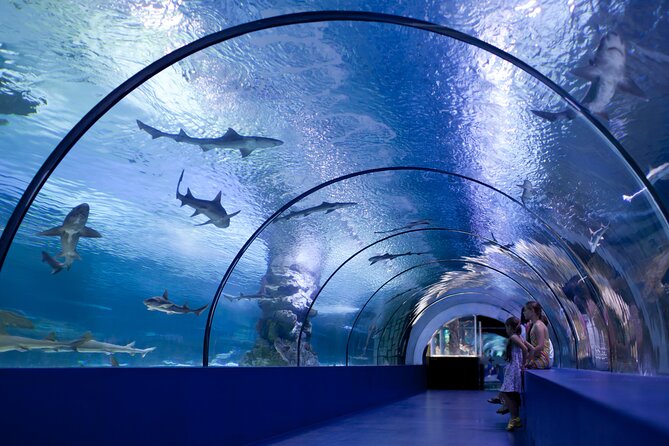 Antalya: Aquarium, Wax Museum & Combo Package Options - Should you book the Aquarium and Wax Museum package?