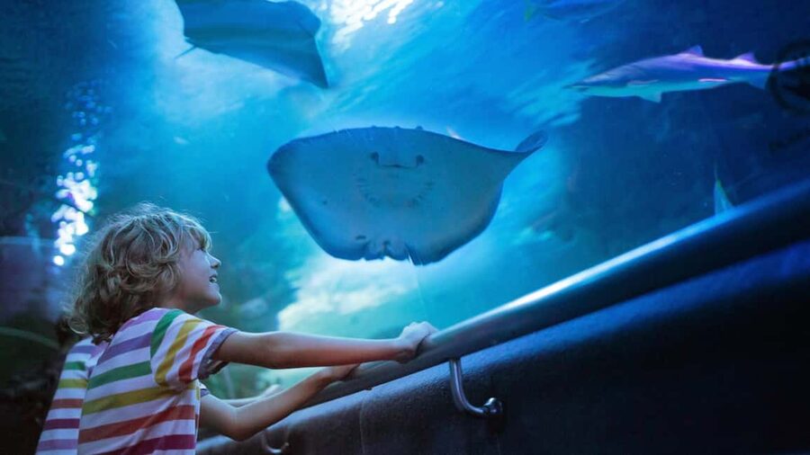 Antalya: Aquarium, Wax Museum, Snow World, Wild Park - Key points to know before you book