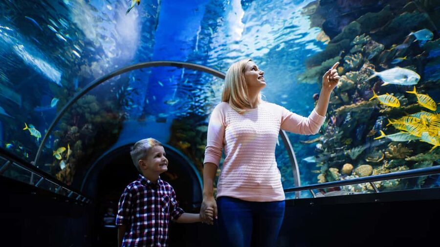 Antalya: Aquarium, Wax Museum, Snow World, Wild Park - The world’s largest tunnel aquarium and Atlantis