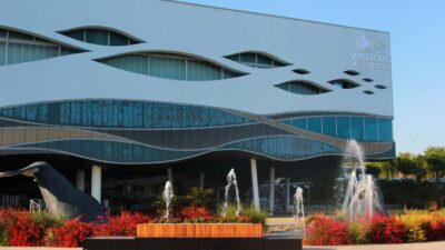 Aquarium, Wax Museum, Snow World, Wild Park