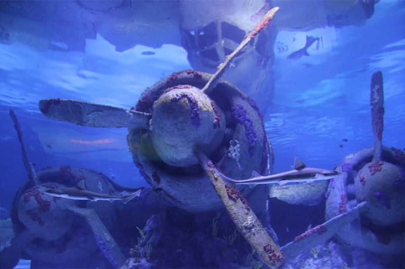 Antalya: Aquarium, Wax Museum, Snow World, Wild Park - How much time should you allow?