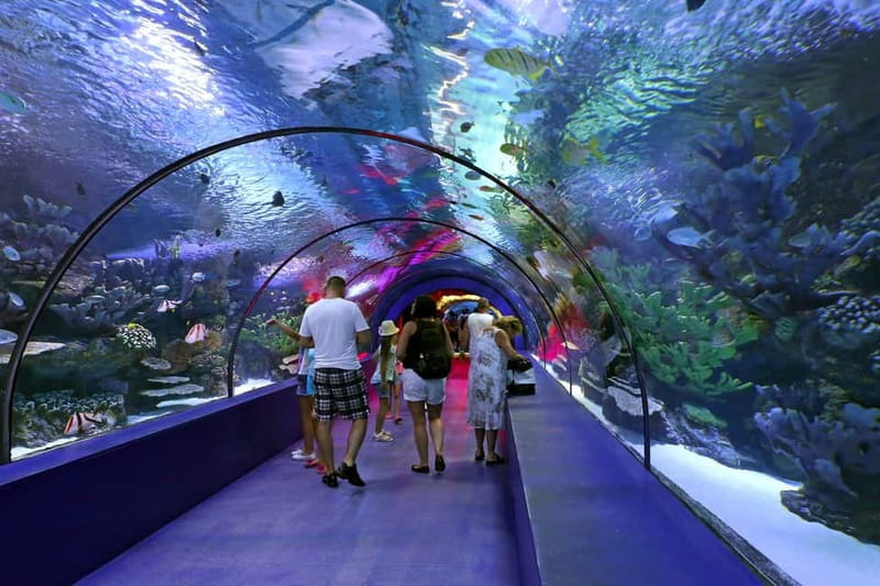 Antalya: Aquarium, Wax Museum, Snow World, Wild Park - Is $43 good value?
