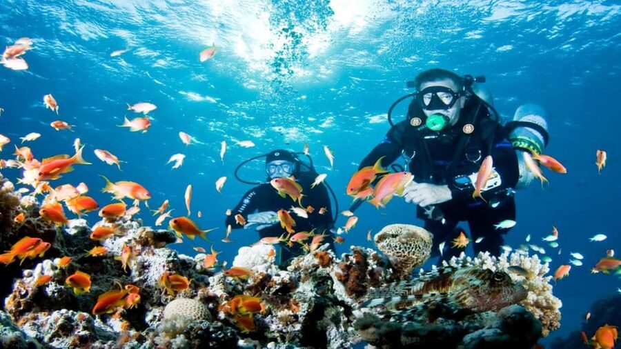 Antalya/ Belek Scuba Diving Tour With 2 Time Dive & Lunch - Should you book this Antalya scuba trip?