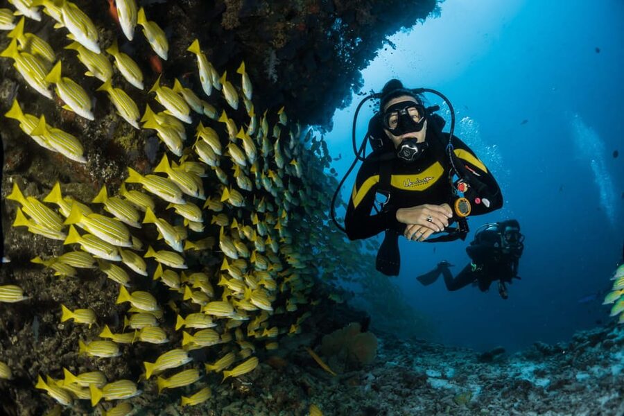 Antalya/ Belek Scuba Diving Tour With 2 Time Dive & Lunch - From Antalya or Belek to the boat